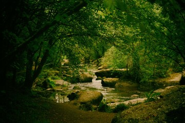 CHAOS DU GOU&Euml;T COTE D'ARMOR