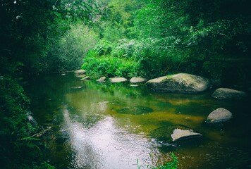 CHAOS DU GOU&Euml;T COTE D'ARMOR