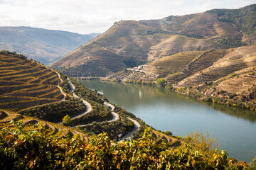 Autumn in Douro Valley, Portugal
