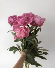 Processed with VSCO with a4 preset