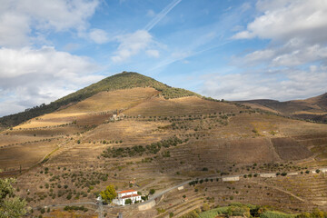 Autumn in Douro Valley, Portugal