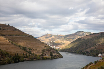 Obraz na płótnie Canvas Autumn in Douro Valley, Portugal