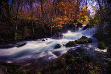Mountain stream　torrent　Autumn leaves　fall colors