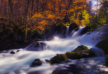 Fototapeta na wymiar Mountain stream　torrent　Autumn leaves　fall colors