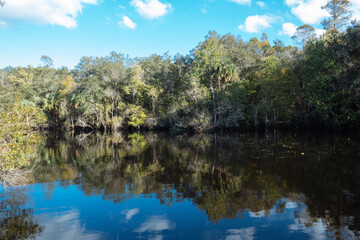 Obraz premium Autumn landscape of New Tampa in Florida