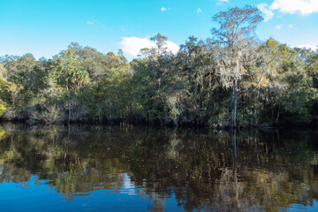 Fototapeta na wymiar The landscape of Tampa Palms and Hillsborough river in Florida