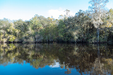 Fototapeta na wymiar The landscape of Tampa Palms and Hillsborough river in Florida