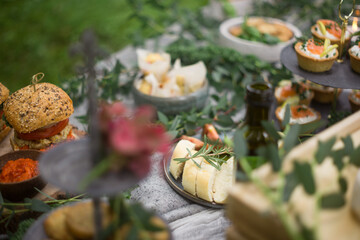 Relaxed outdoor garden party. Buffet table with organic tapas. Fresh baguette bread and tomato.
