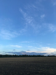 Empty field with horizon brown earth and blue sky