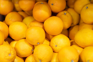 fresh tasty oranges of time