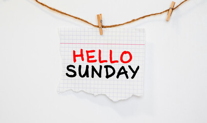 Hello Sunday - text on a display lightbox with flowers carnations on blue and pink background.