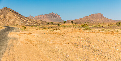 Mergouza, Morocco, landscape of the desert, oase