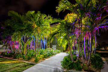 Obraz premium Neon colored palm trees Miami Beach park scene
