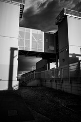 black and white building