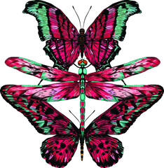butterfly and dragonfly turquoise green pink vector illustration