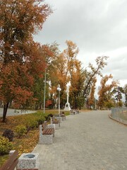 path in park