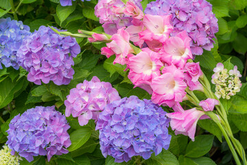 アジサイとグラジオラスの花