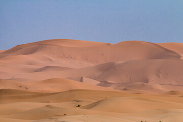 Fototapeta na wymiar Morocco, desert, dunes, sand