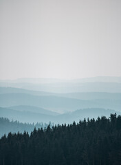 mist in the mountains, view over a mountain with tree silhouette 