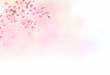Obraz na płótnie Canvas 透明水彩で描く桜の背景