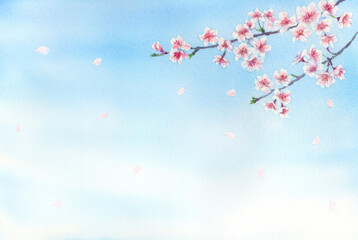 空に桜の水彩イラスト