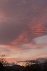 Fototapeta premium 晩秋の朝