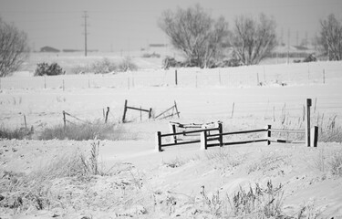 Black & White winter landscape with fence
