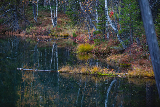 Autumn view of Oulanka National Park, landscape, a finnish national park in the Northern Ostrobothnia and Lapland regions of Finland,  wooden wilderness hut, cabin cottage, bridge, campground place