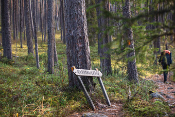Autumn view of Oulanka National Park, landscape, a finnish national park in the Northern...