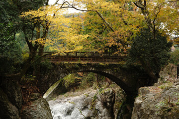 耶馬渓の魔林峡の秋風景