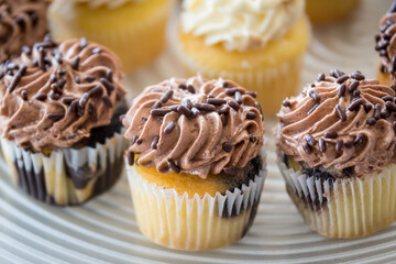 cupcakes with chocolate swirling frosting