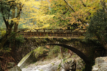 耶馬渓の魔林峡の秋風景