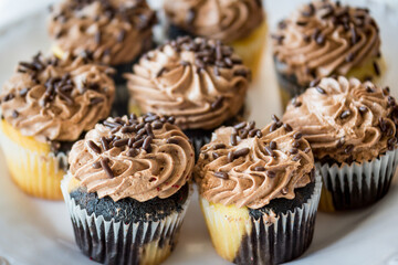 chocolate cupcakes with icing