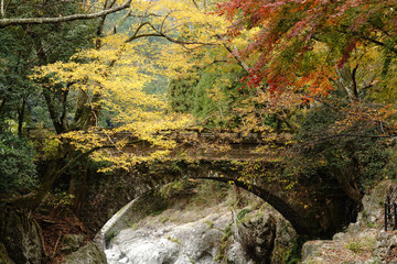 耶馬渓の魔林峡の秋風景