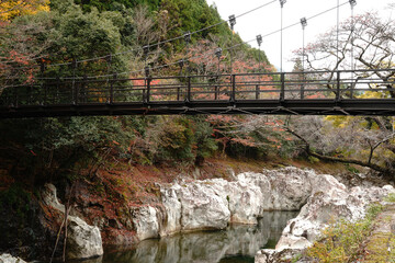 耶馬渓の猿飛千壺峡の秋風景