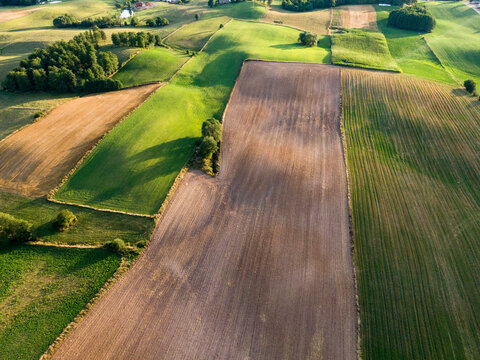 Polish landscape with field, Punsk town, Podlasie Poland