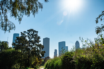 Houston Skyline and Eleanor Tinsley Park