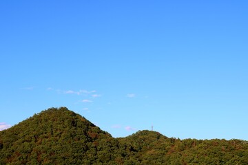 秋の風景　唐沢山から望む