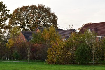 Rural houses in autumn trees, England, UK