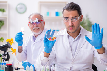 Two chemists working in the lab