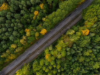 road through the woods topdown view