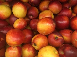 Nectarinas 1