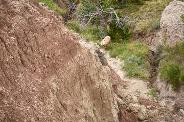 Badlands National Park
