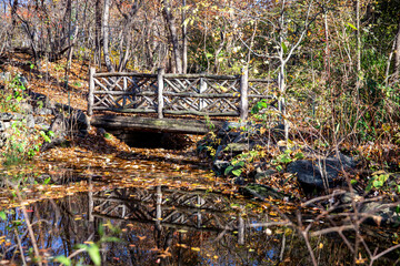 Rustic Bridges in the Ramble in Central Park, New York City