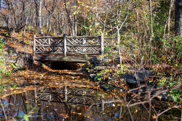 Fototapeta na wymiar Rustic Bridges in the Ramble in Central Park, New York City