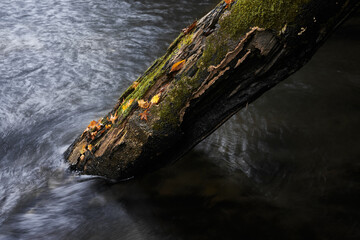 A river flows through the valley. Autumn landscape. Shot in Odamiyama, Ehime, Japan. Ishizuchi Quasi-National Park.