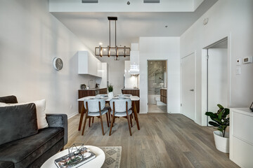 Beautiful Canadian style luxury furnished and staged apartment in the apartment building