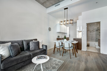 Beautiful Canadian style luxury furnished and staged apartment in the apartment building