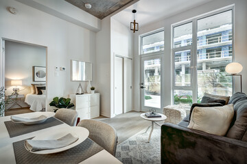 Beautiful Canadian style luxury furnished and staged apartment in the apartment building