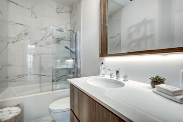 Beautiful Canadian style luxury furnished and staged apartment in the apartment building